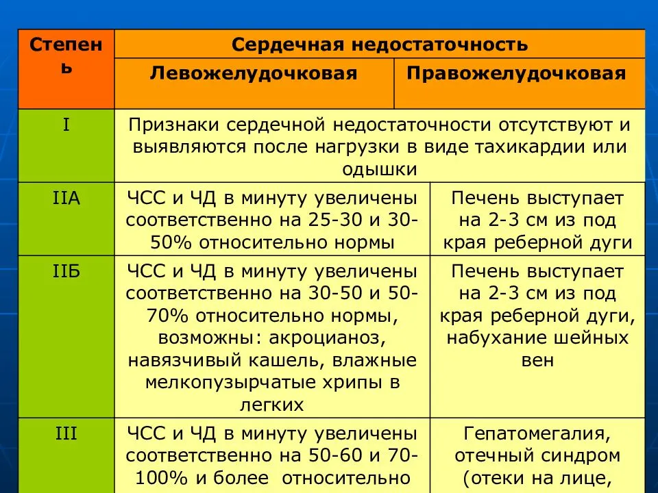 Сердечная недостаточность у собак: симптомы, диагностика и лечение | блог ветклиники "беланта"