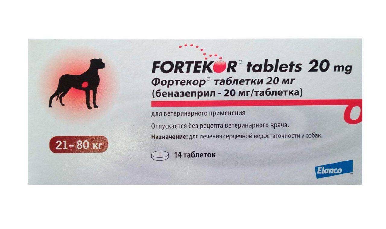 Хроническая сердечная недостаточность: причины, классы, методы диагностики и лечения