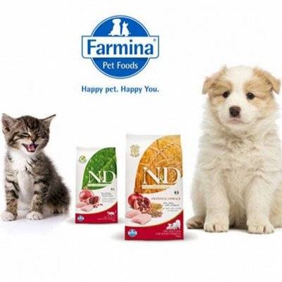 Farmina – доступный корм для кошек