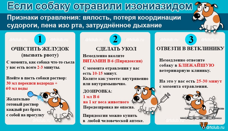 Кровь в моче, или гематурия. причины и лечение гематурии.