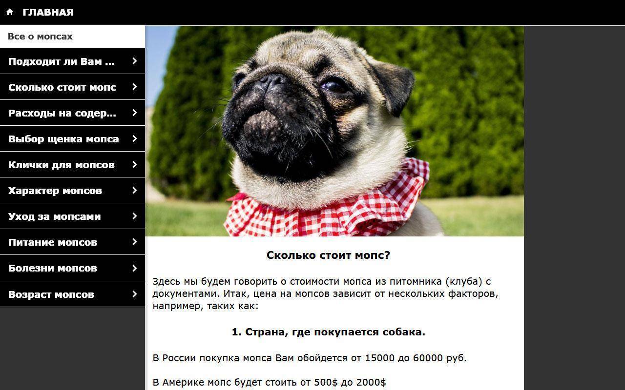 Мопс - все о породе собаки
