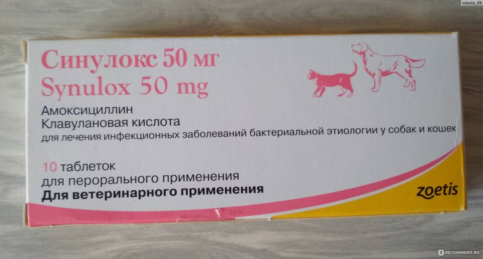 Синулокс для кошек (суспензии и таблетки) - назначение антибиотика и особенности его действия