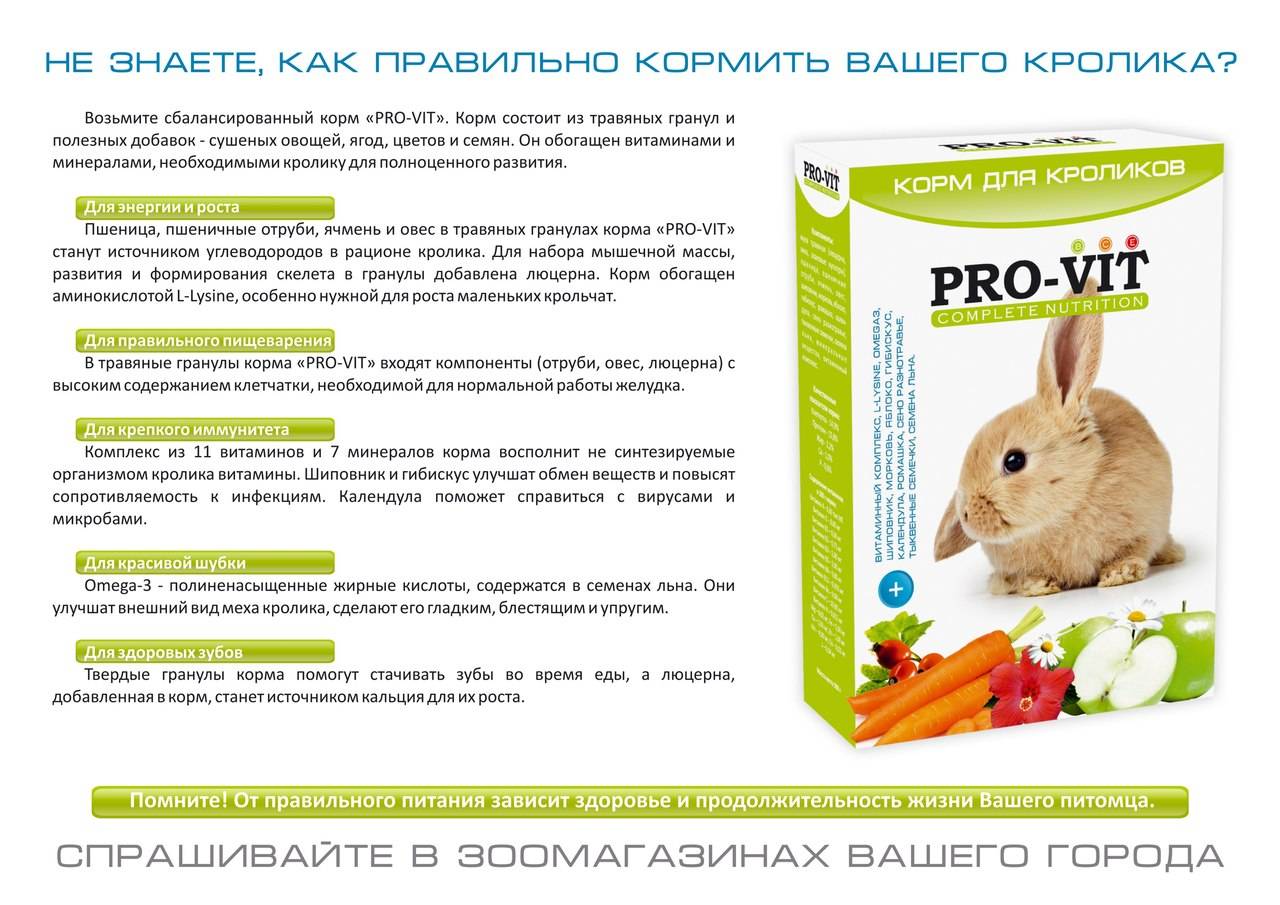 Витамины для кроликов: выбор, дозировка, добавление в пищу