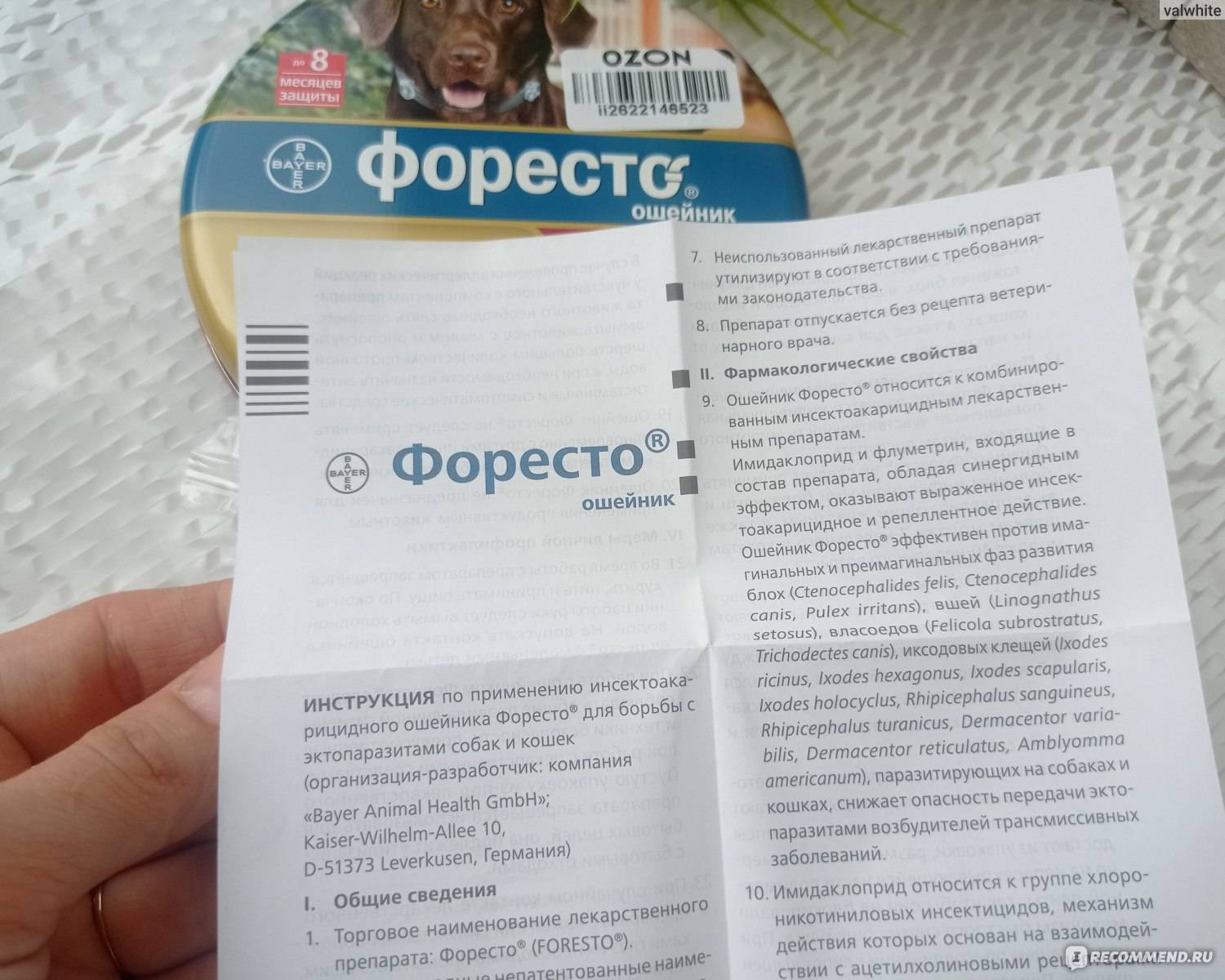 Ошейник «форесто»: отзывы и использование