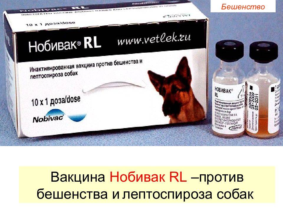 Вакцинация от дифтерии детей в 7 лет в медицинском центре здоровая семья