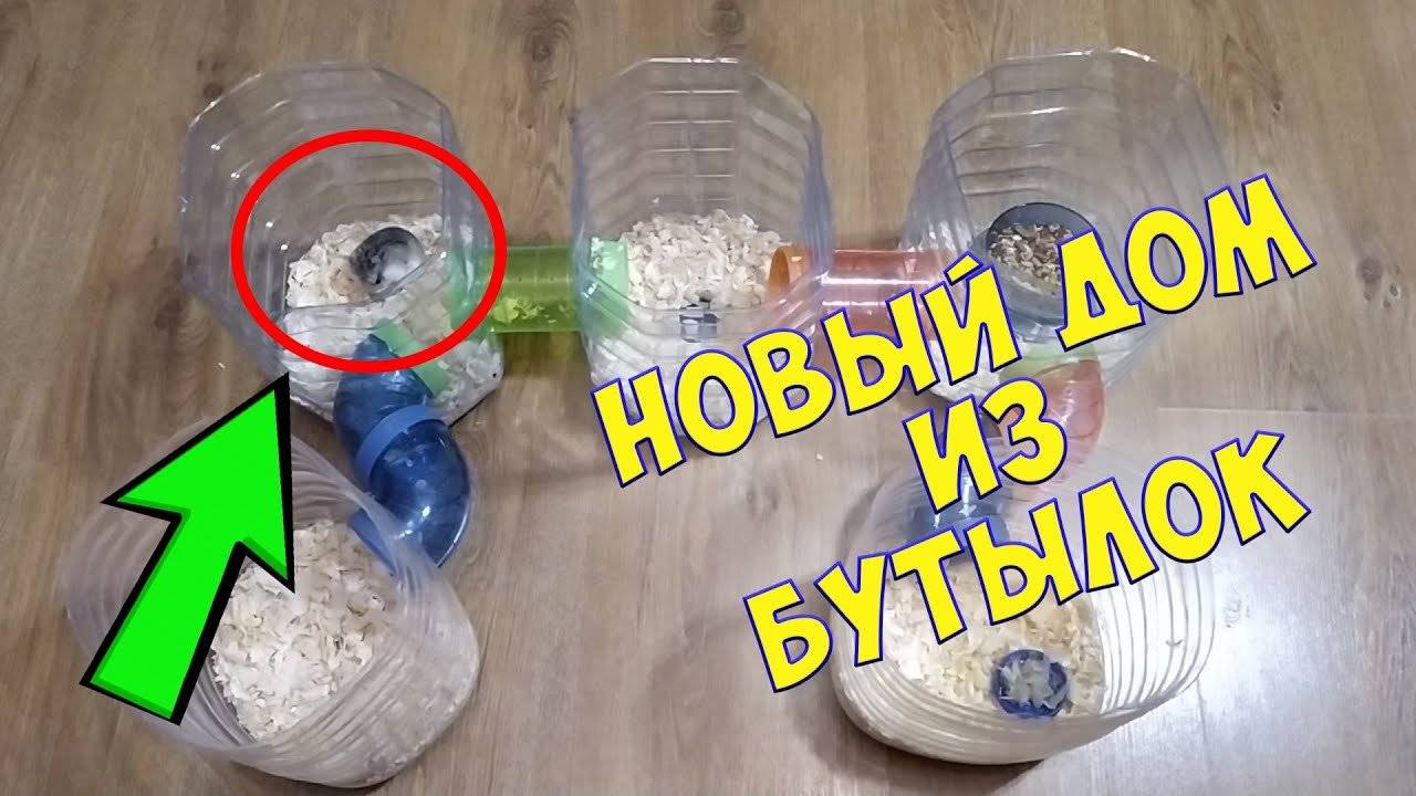 Колесо для хомяка своими руками