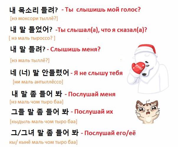 Клички для кошек девочек, красивые имена для кошечек и котят