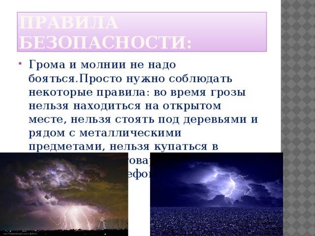 Что делать, если собака боится грозы