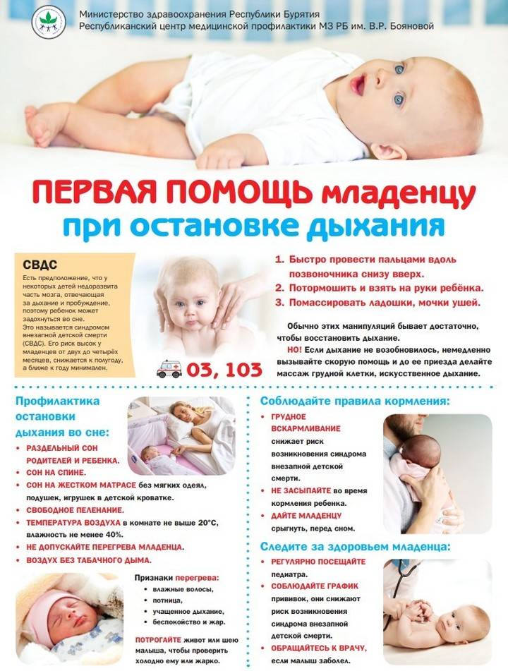 Уход за щенком: кормление, воспитание щенков (новорожденных, в 1 месяц и других) | нпк "скифф"