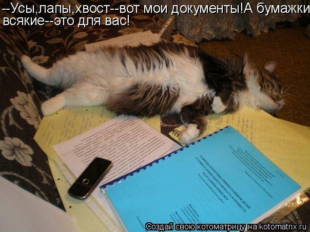 Документы для вывоза животных за границу
