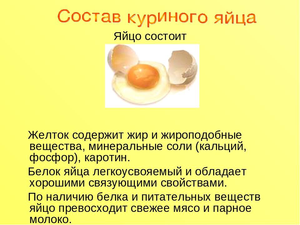 Можно ли собакам яйца: вареные и сырые, а также скорлупу