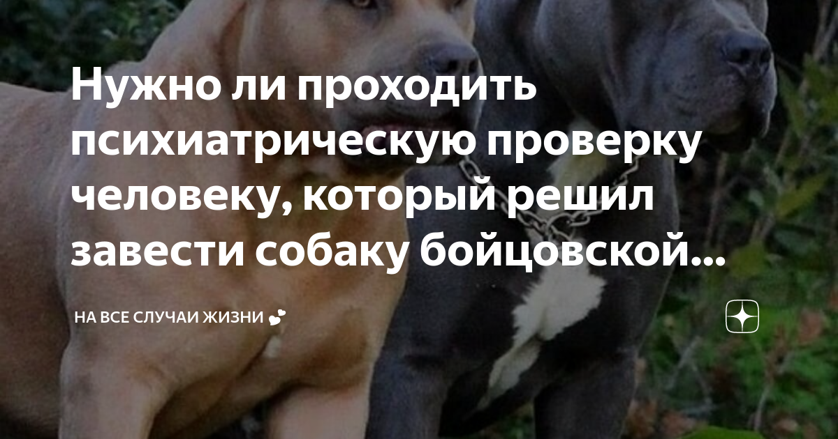 Бешенство: причины, симптомы и лечение в статье инфекциониста александров п. а.