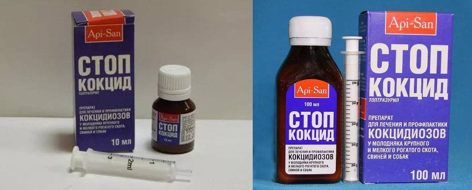 Стоп-кокцид для кроликов: отзывы, инструкция, применение