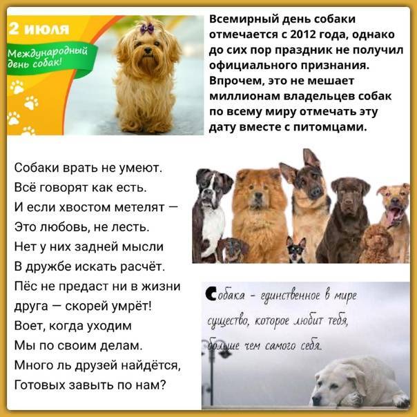 Мужчин никто не обделял: 4 праздника, когда можно поздравить сильный пол