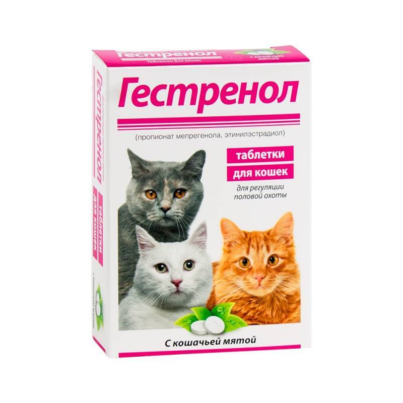 Поликлиника №3 |   оральные контрацептивы виды, механизм действия, особенности подбора и приема