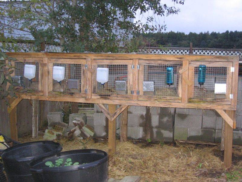 Комфортное жилище для кроликов: строим удобный сарай из пеноблоков для успешного кролиководства