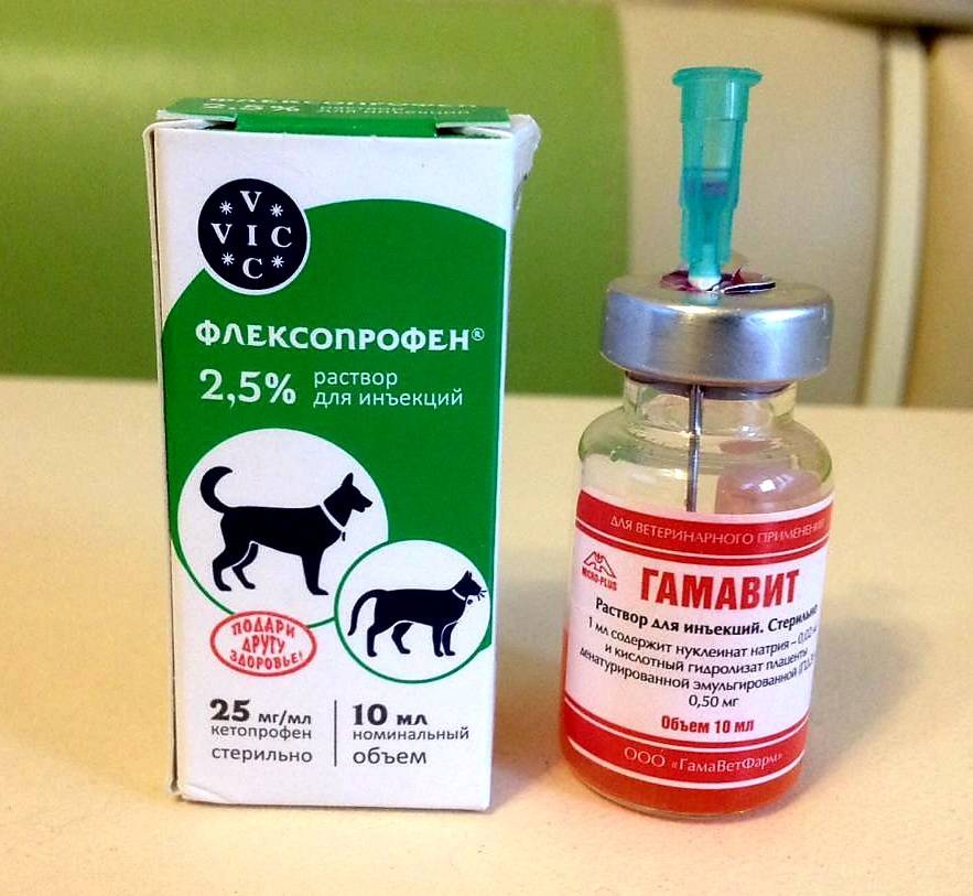 Флексопрофен для собак: инструкция по применению , лекарственные свойства и дозировка