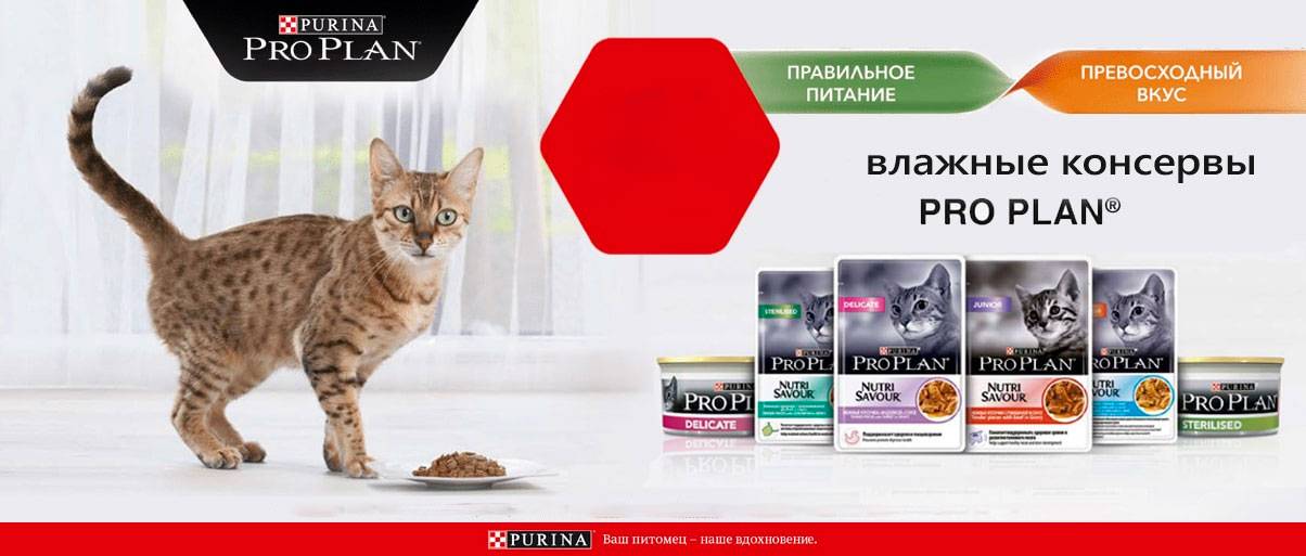Purina Pro Plan Паучи Купить