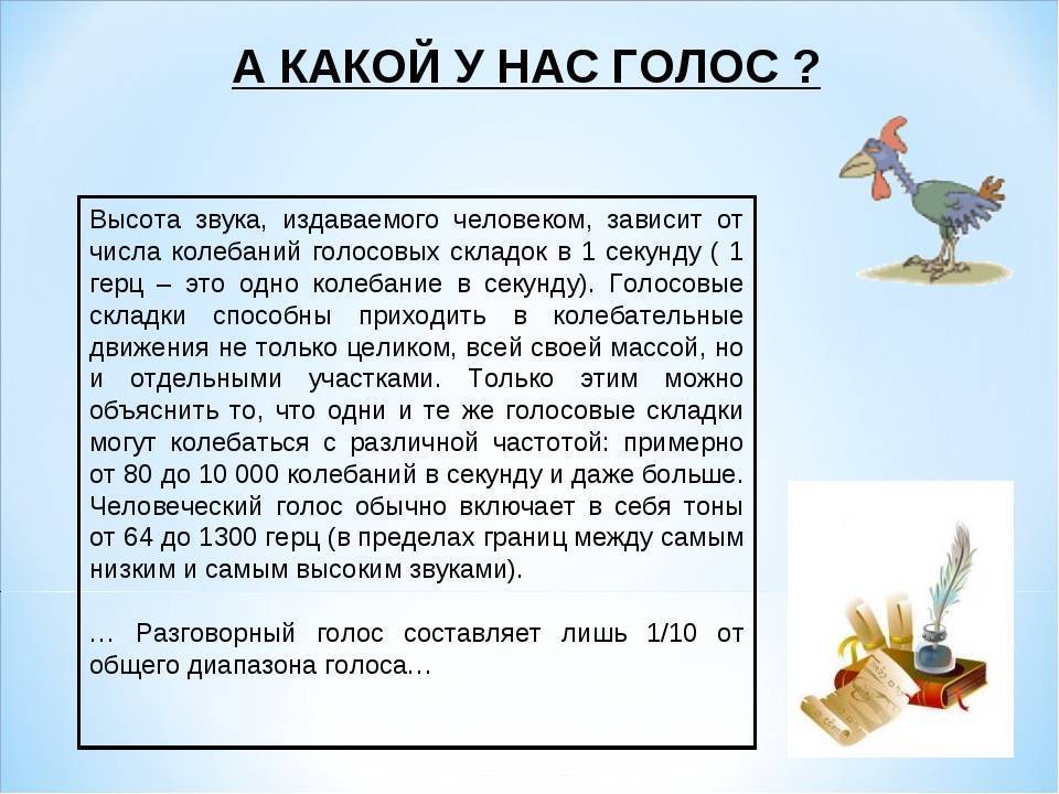 Как понять язык и жесты кролика