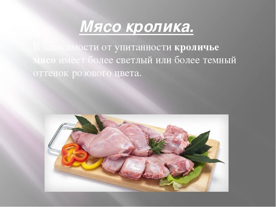 Мясо кролика чем полезно польза и вред