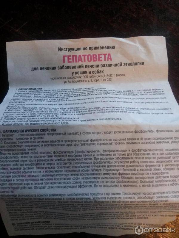 Гепатовет для собак
