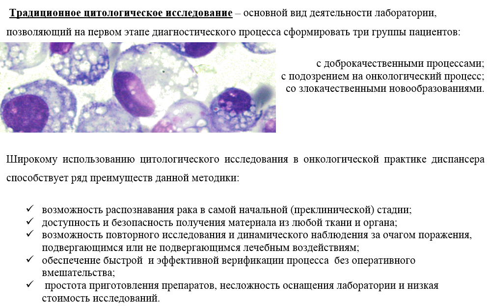 Цитология животных