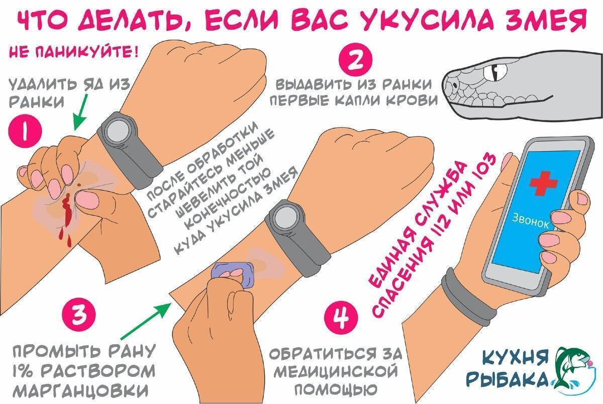 Укус змеи карта вызова