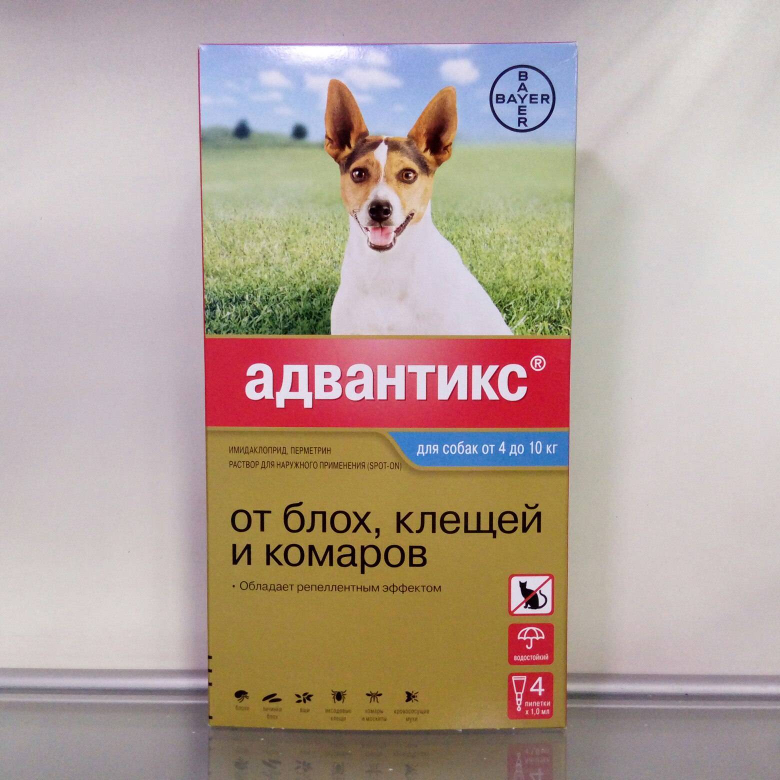 Адвантикс капли на холку для собак. дозы и способ применения