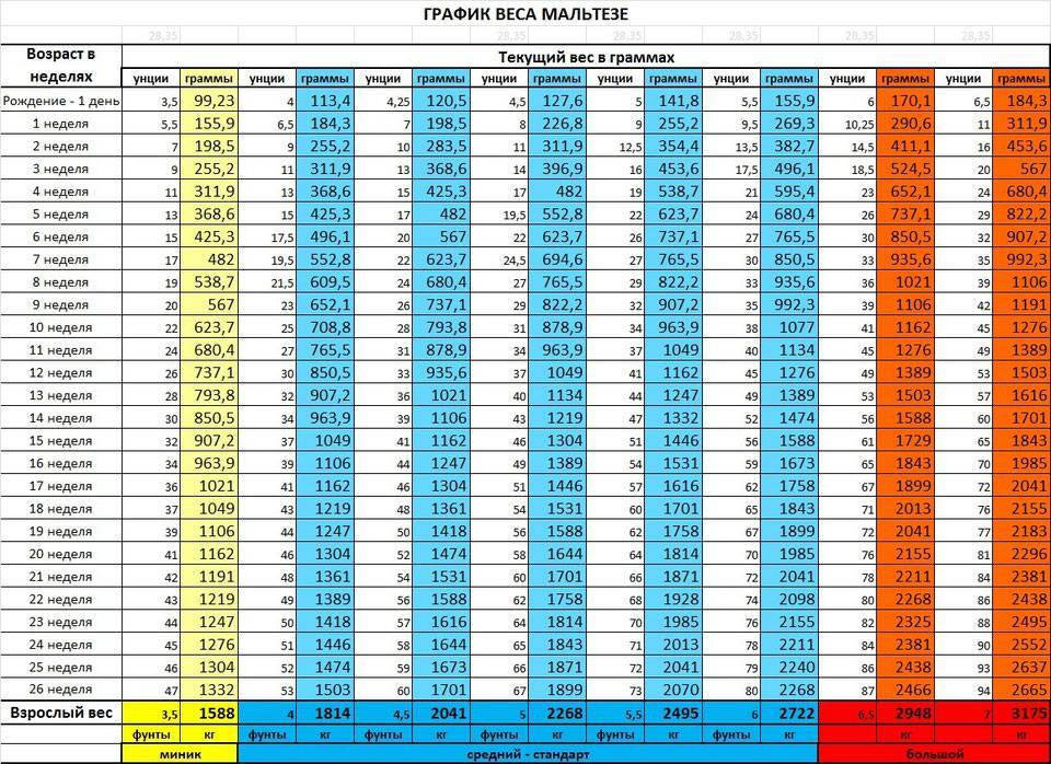Таблица веса по месяцам
