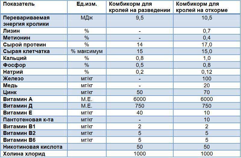 Что давать кролику для быстрого роста: добавки, премиксы, витаминные препараты, натуральные витамины