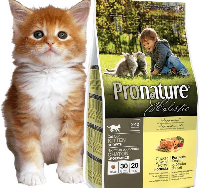 Pronature Holistic для кошек и котят: описание сухого рациона