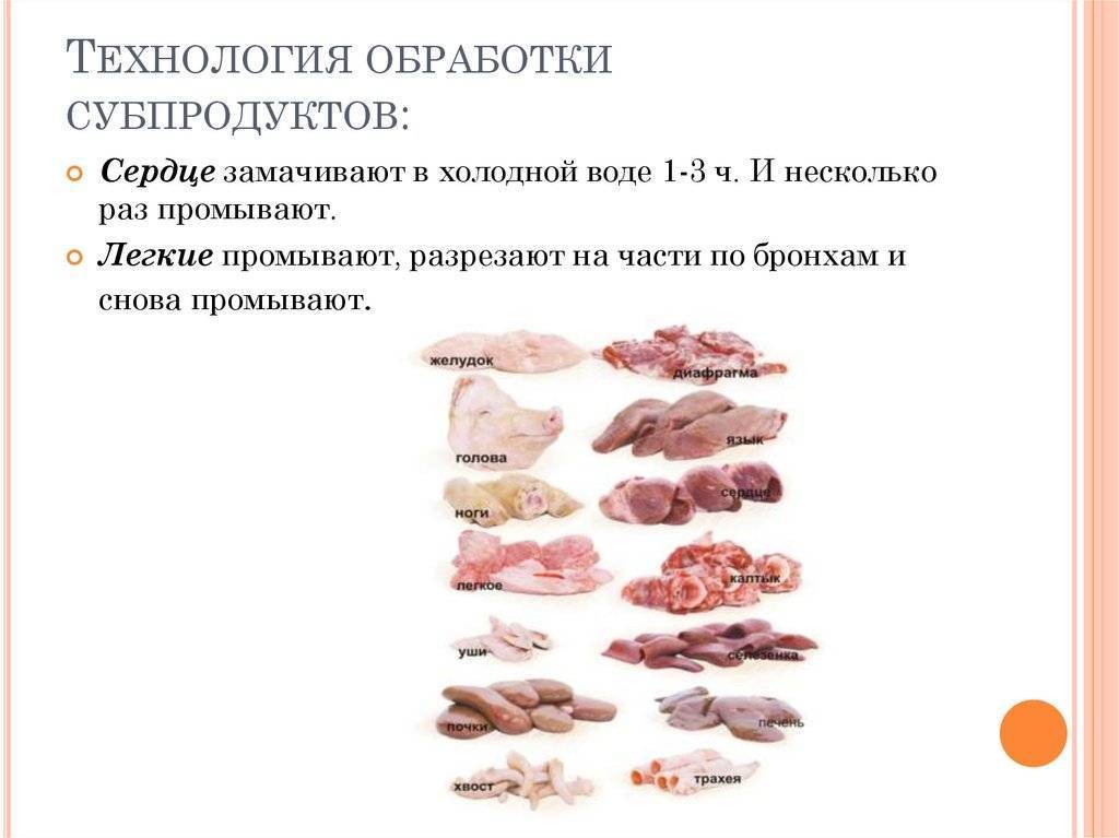 Привычные и не совсем обычные виды мясопродуктов в рационе собаки.