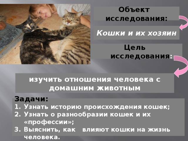 Здоровье человека и его зависимость от образа жизни
 — 
 кыштымская цгб