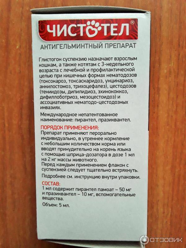 Капли от блох и клещей «чистотел» для котят и взрослых кошек: инструкция по применению