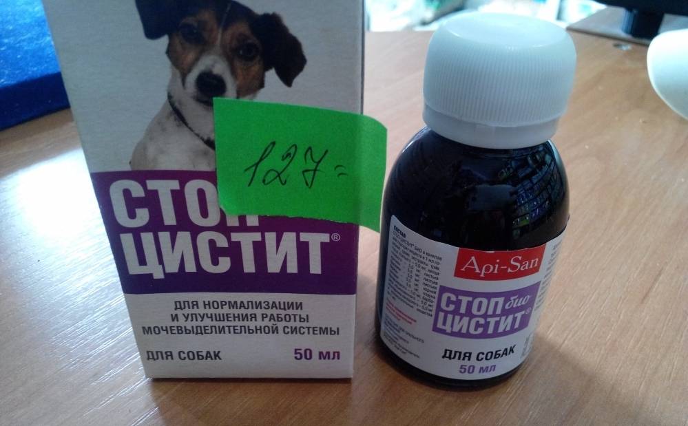 Цистит после секса или посткоитальный цистит у женщин: лечим причину заболевания