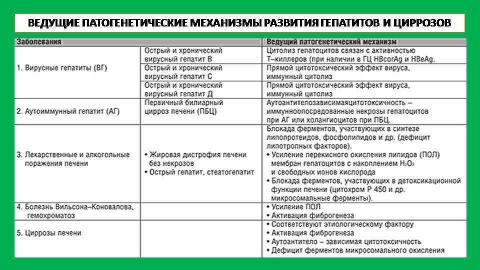 Болезни печени у кошек, симптомы, лечение, препараты: где находится орган и как его лечить?