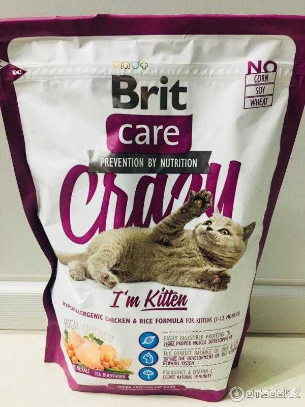 Брит кеа. Brit Care для котят сухой. Корм для кошек Brit Care Toby. Брит премиум Кеа для кошек. Brit Care Kitten состав.