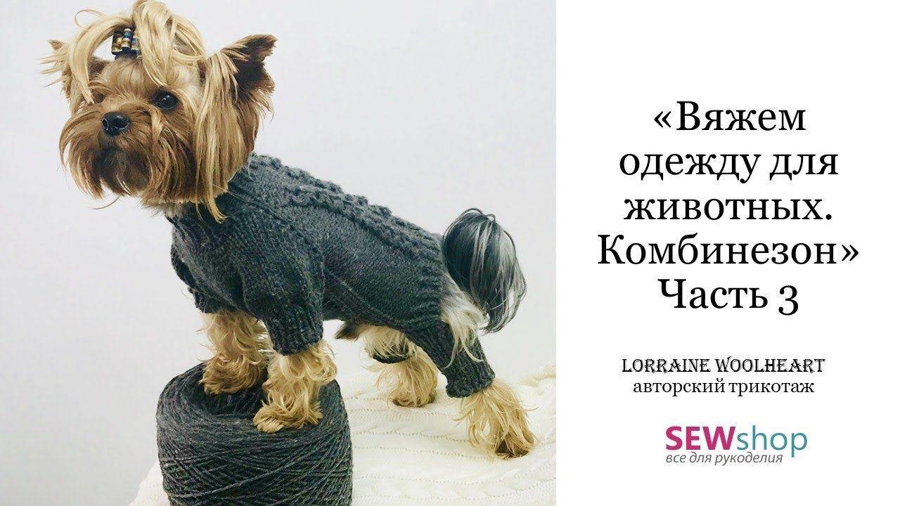 Как связать свитер для собаки йорка крючком пошагово с фото