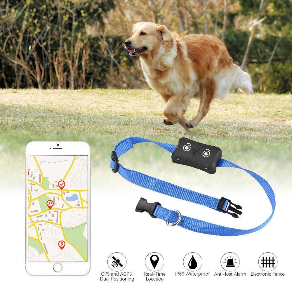 ᐉ gps-трекер для собак - ➡ motildazoo.ru