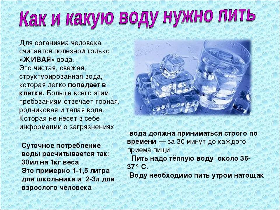 Пьют ли хомяки воду, нужно ли их поить сырой или кипяченой водой в домашних условиях