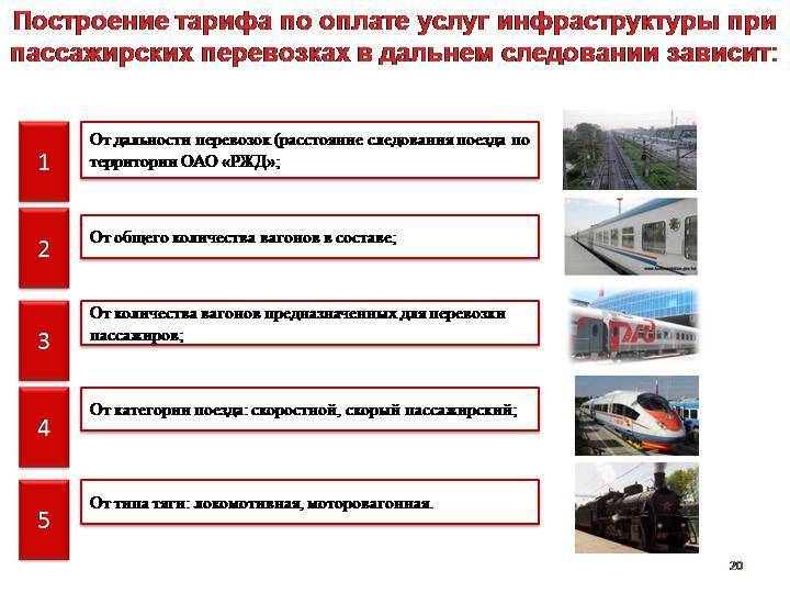 Правила перевозки животных в поезде :: businessman.ru