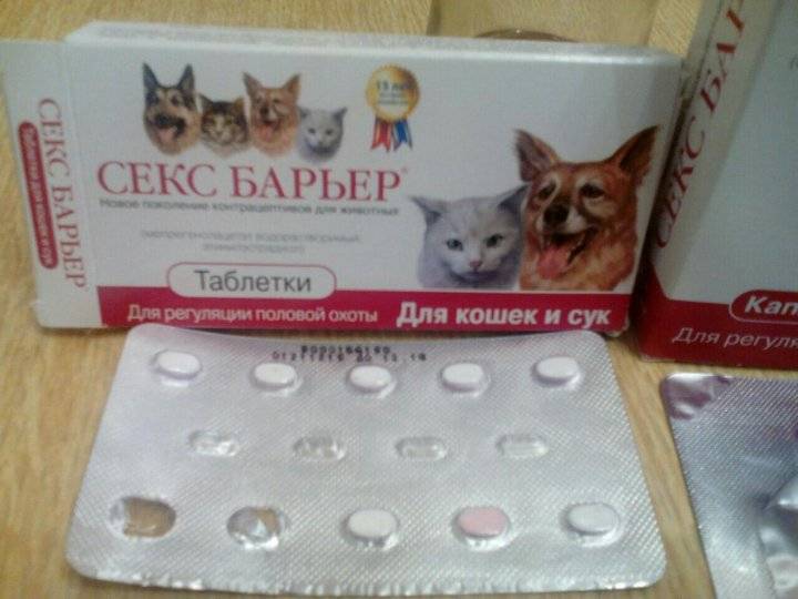 Экстренная контрацепция