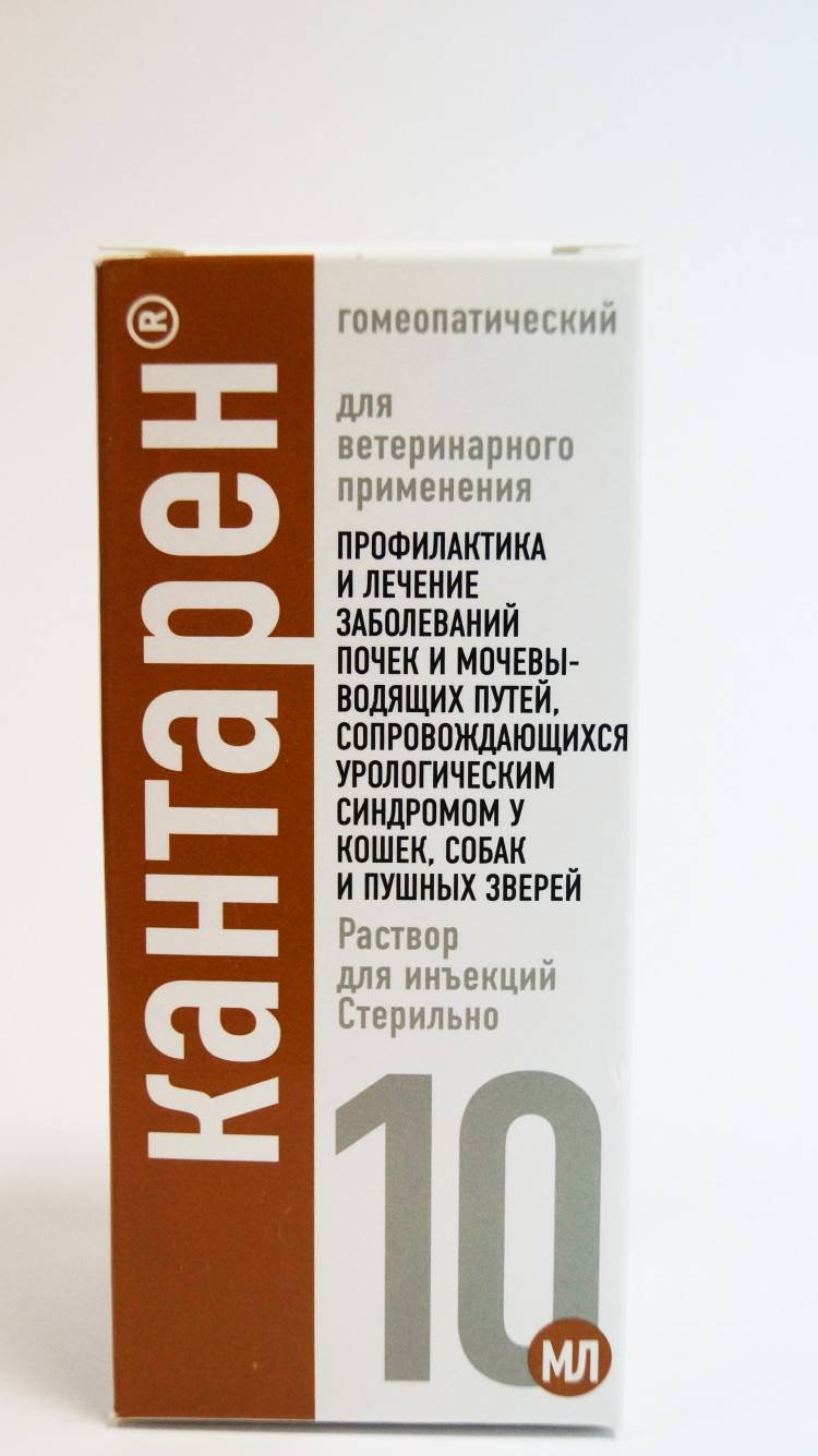 Кантарен капли инструкция по применению. кантарен для собак – показания к применению и побочные эффекты. как правильно хранить ветеринарный препарат