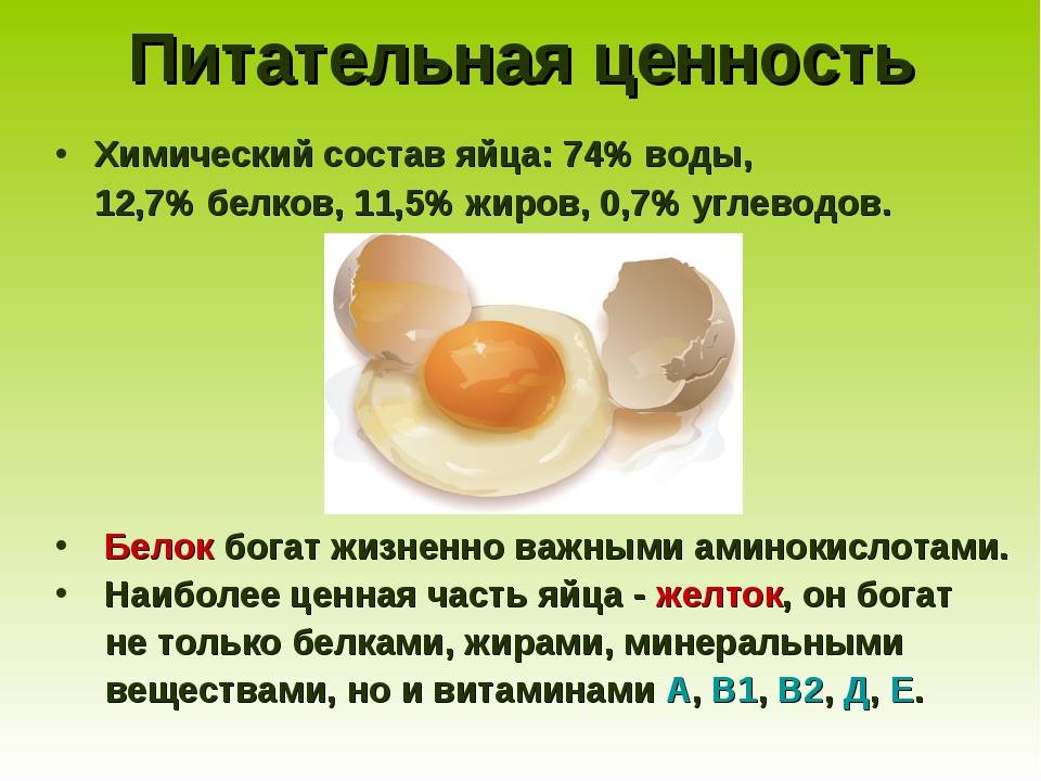 Вы что-то слышали о крысах? забудьте! часть 2 - крысы, домашние животные, содержание крыс