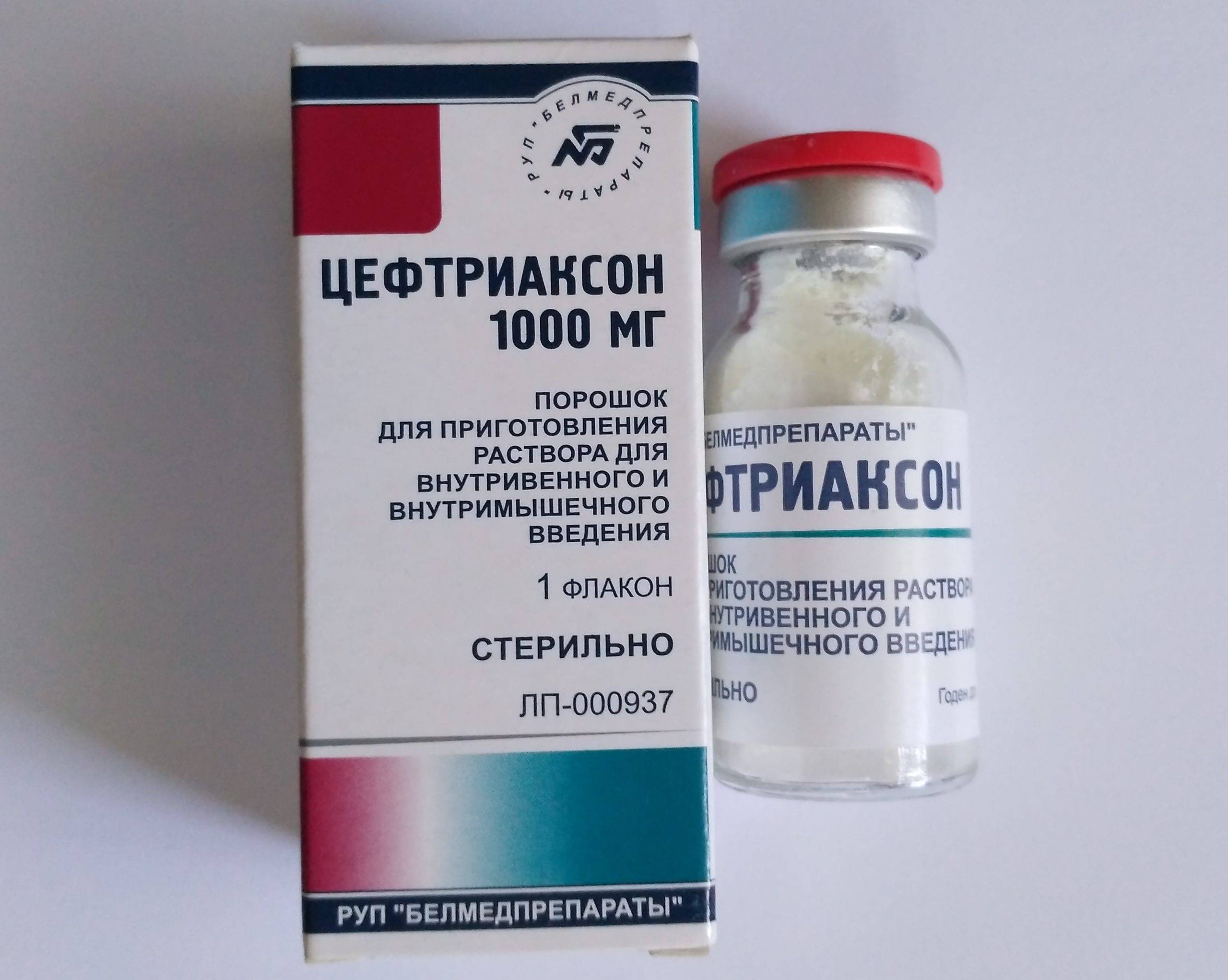 Цефтриаксон для собак – эффективная помощь при инфекциях