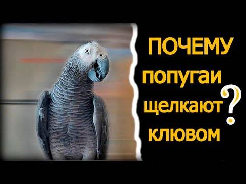 Интоксикация: стадии, причины и лечение