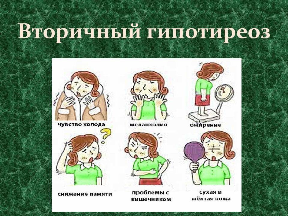 Проблемы лечения гипотиреоза у собак