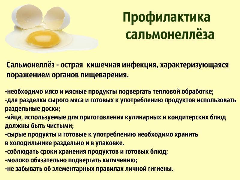 Сальмонеллез. причины, симптомы и лечение сальмонеллеза.