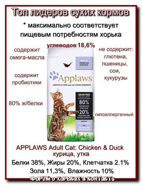 Чем кормить хорька в домашних условиях: список лучших продуктов, чем можно и чем нельзя