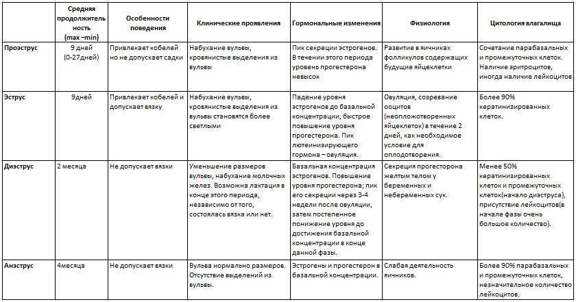 Половая зрелость, половой цикл и беременность у собак и кошек